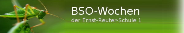 BSO-Wochen der Ernst-Reuter-Schule 1