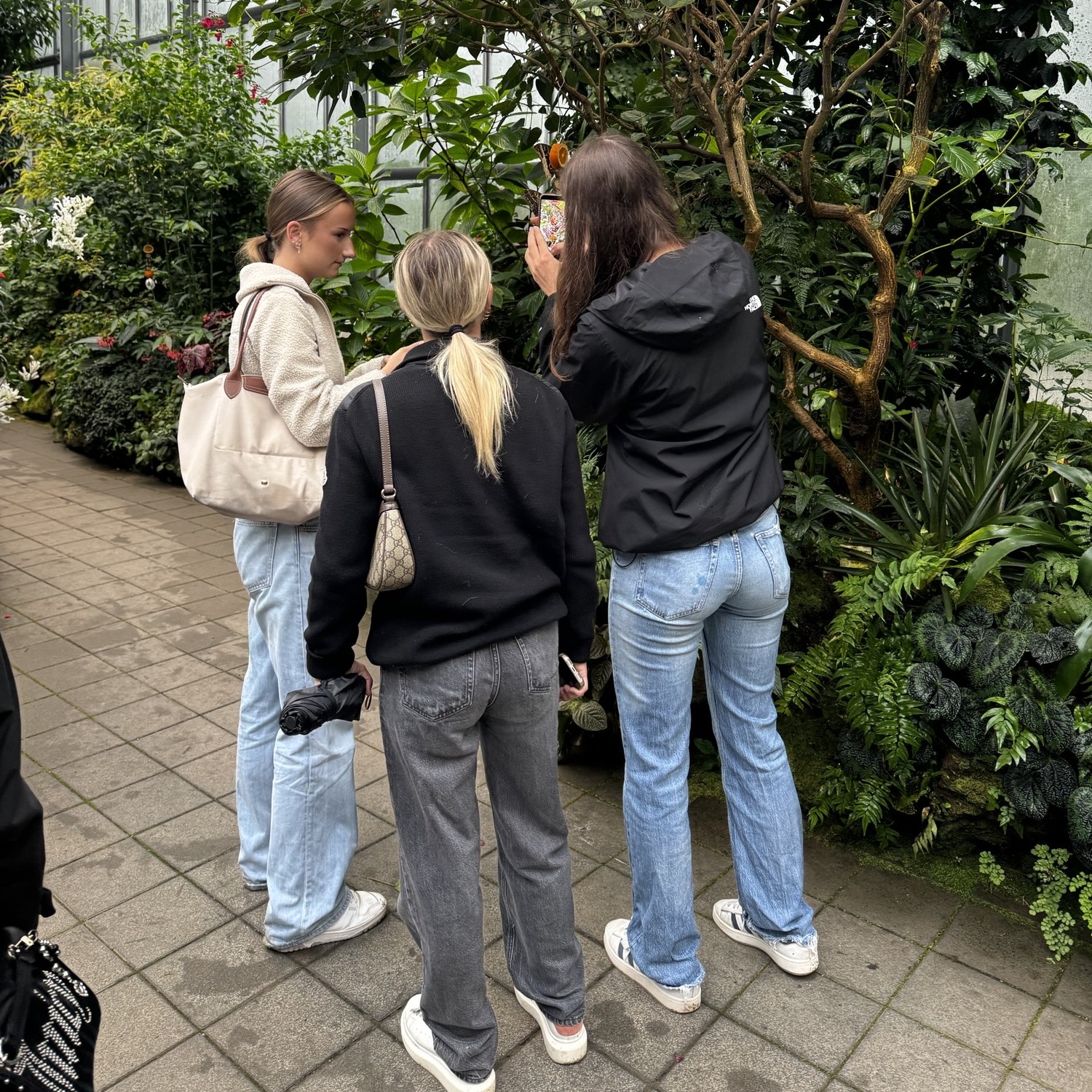 Palmengarten3